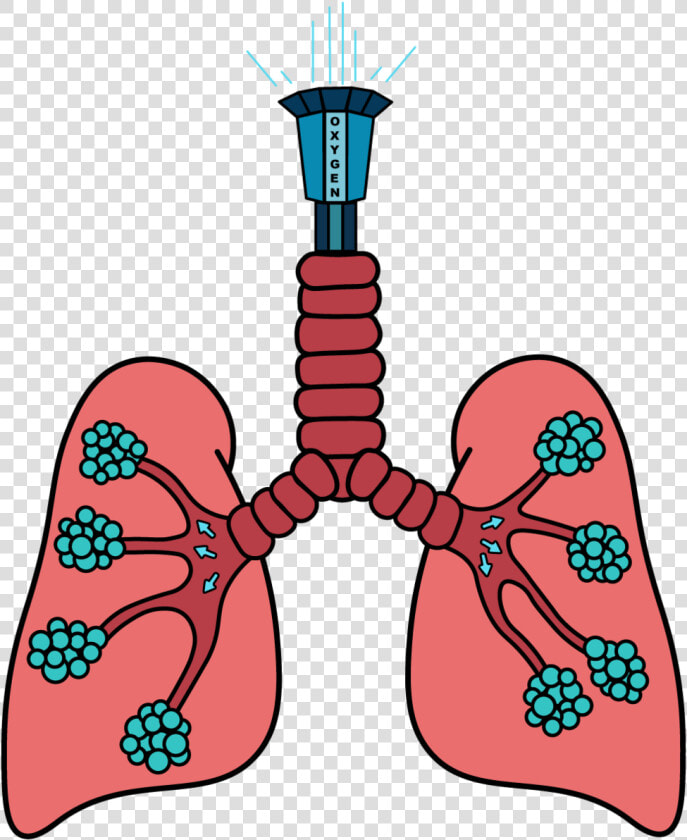 Drop Tower Lung Ride To Go Along With The Theme Park  HD Png DownloadTransparent PNG