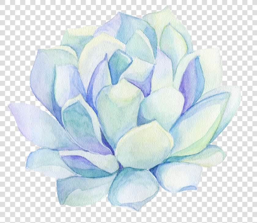 Freetoedit Ftestickers Watercolor Cactus Flower Decorat  HD Png DownloadTransparent PNG