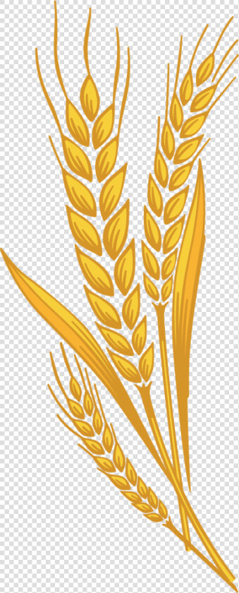 Clip Art Clip Art Wheat   Harvest Wheat Clipart  HD Png DownloadTransparent PNG