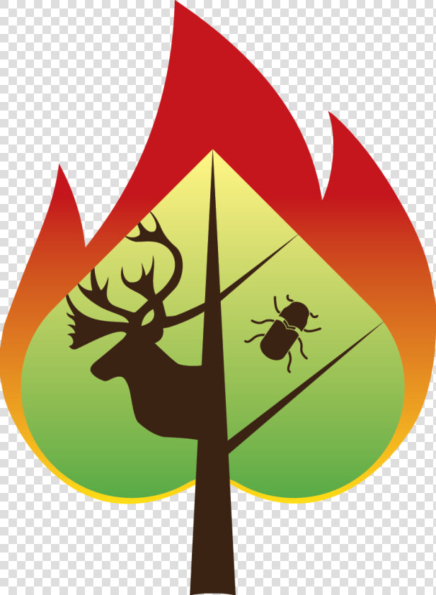 Spades Logo  HD Png DownloadTransparent PNG