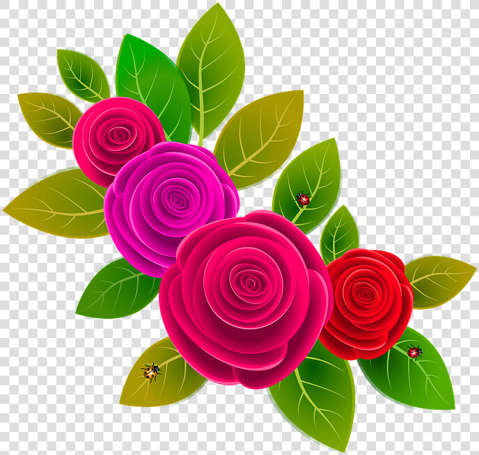 Transparent Ramo De Rosas Png   Racimo De Flores Png  Png DownloadTransparent PNG
