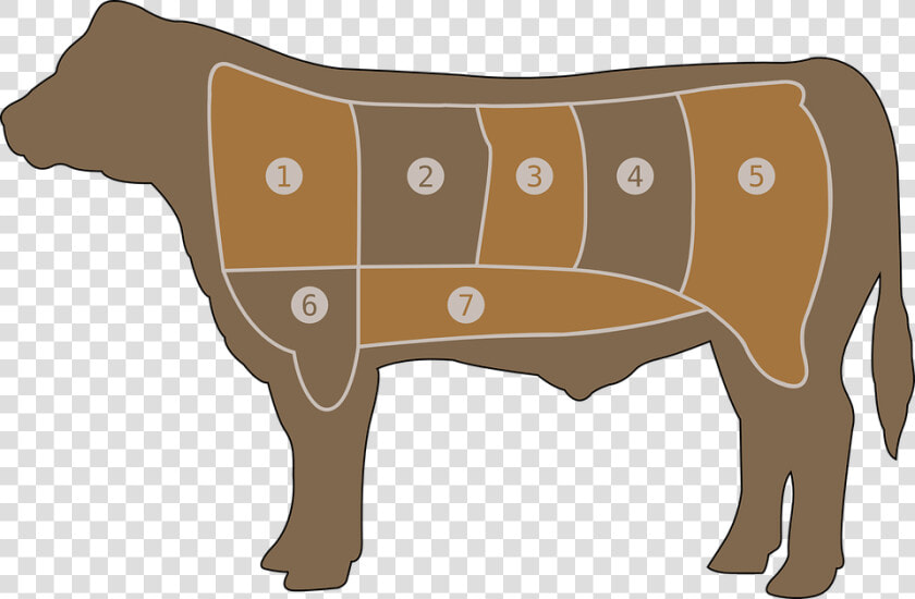 Meat Chart  Beef  Butcher  Cow  Steak  Farm  Part   Outline Of Beef Cuts  HD Png DownloadTransparent PNG