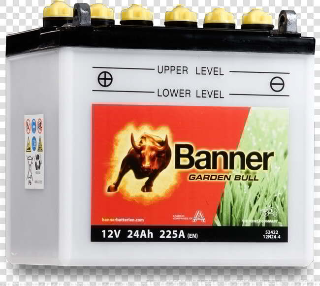 Transparent Tasmanian Tiger Clipart   Banner 52425  HD Png DownloadTransparent PNG