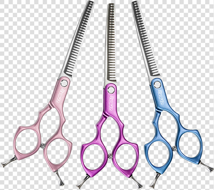 Asian Fusion Grooming  HD Png DownloadTransparent PNG