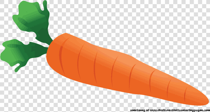 Carrot Clipart Single Vegetable Pencil And In Color   Carrot Clipart Png  Transparent PngTransparent PNG