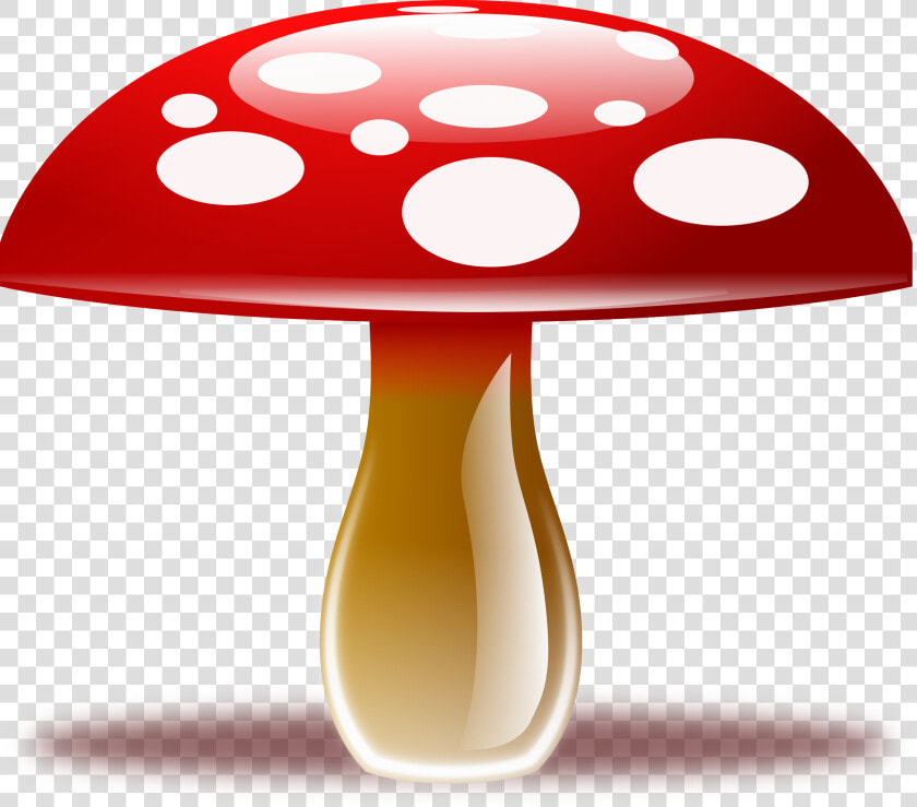 Mushroom   Cartoon Mushroom Png  Transparent PngTransparent PNG