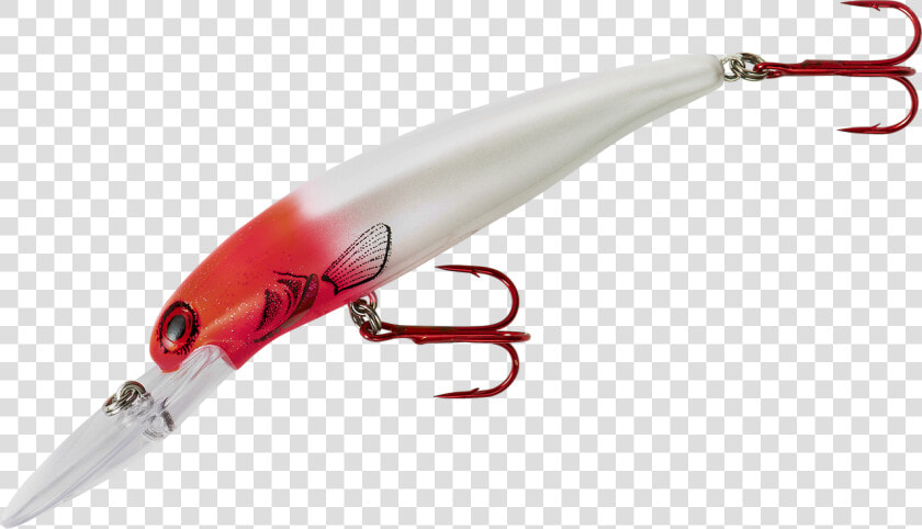Transparent Fish Head Png   Fin  Png DownloadTransparent PNG