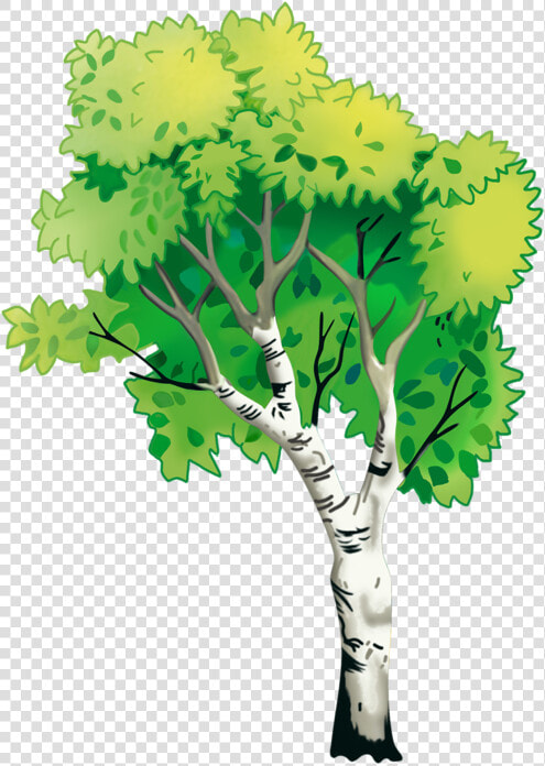 Nature Natural Environment Tree   Plane tree Family  HD Png DownloadTransparent PNG