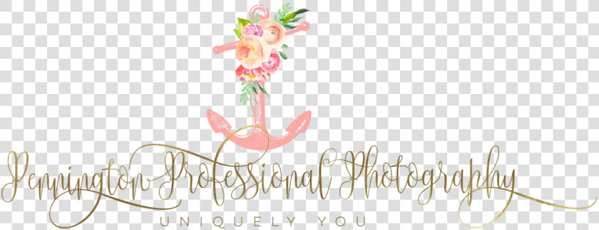 Stargazer Lily  HD Png DownloadTransparent PNG