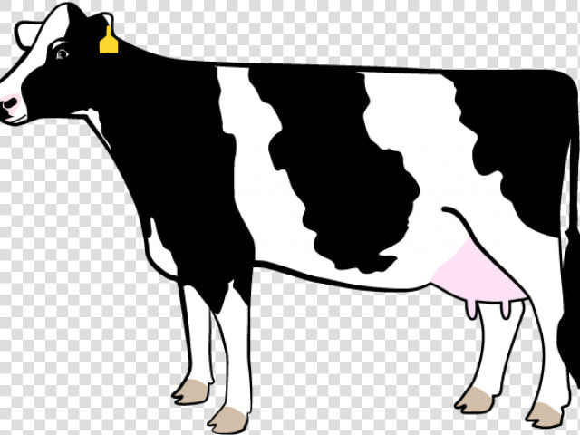 Transparent Cows Clipart   Dairy Cow Silhouette Showing  HD Png DownloadTransparent PNG