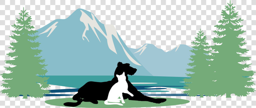 Pacific Heights Vets   Pine Tree Silhouette  HD Png DownloadTransparent PNG