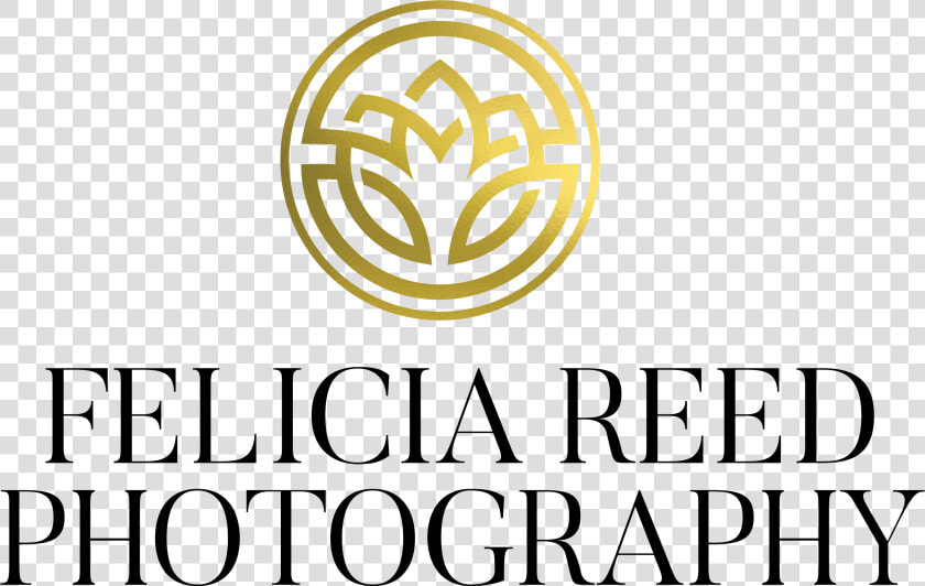 Felicia Reed Photography Contemporary Beauty Portrait   Felicia Reed Photography  HD Png DownloadTransparent PNG
