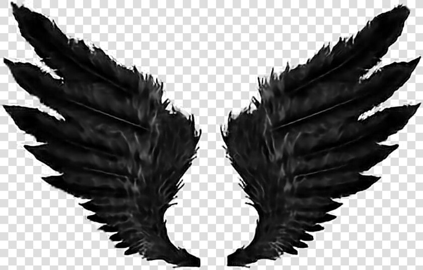Transparent Demon Wings Png   Black Angel Wings Png  Png DownloadTransparent PNG
