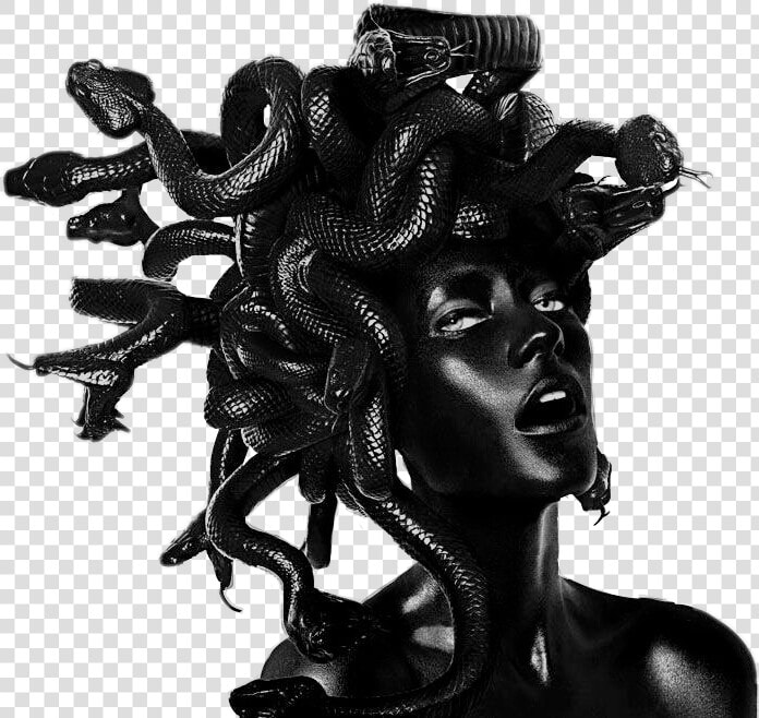 Vaporwave Aesthetic Black Medusa Snake Statue Grunge   Myths And Legends Art  HD Png DownloadTransparent PNG