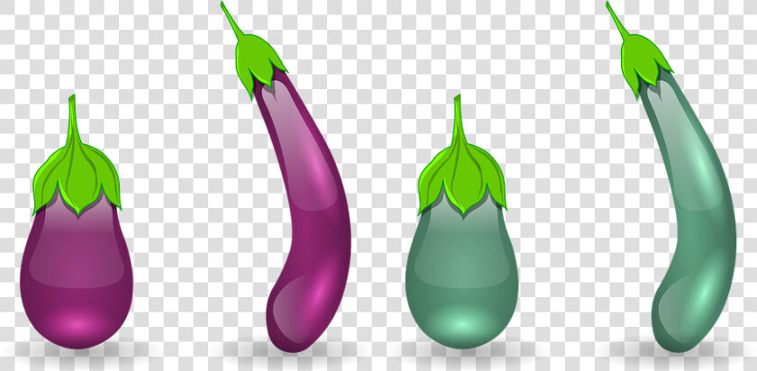 Brinjal  Egg Plant  Vegetable  Purple  Eggplant   Eggplant  HD Png DownloadTransparent PNG