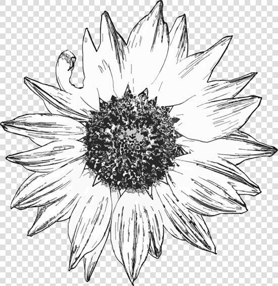 Free Digital Stamps  HD Png DownloadTransparent PNG