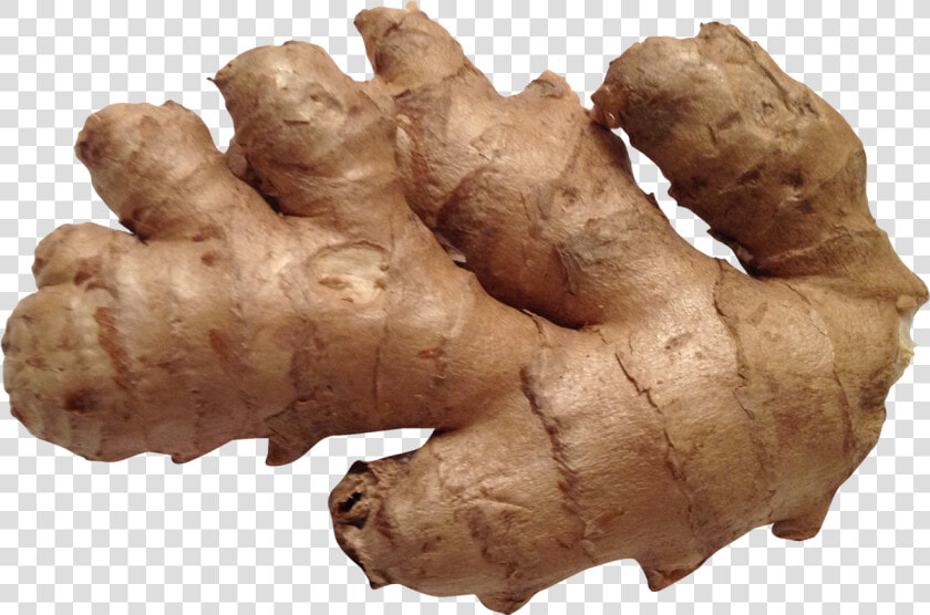 Ginger Png Image   Ginger Png  Transparent PngTransparent PNG