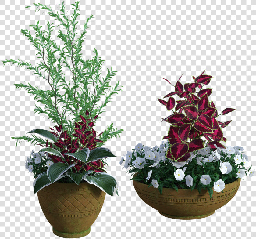 Potted  Plants  Green  Garden  Grow  Pots  Flowers   Houseplant  HD Png DownloadTransparent PNG