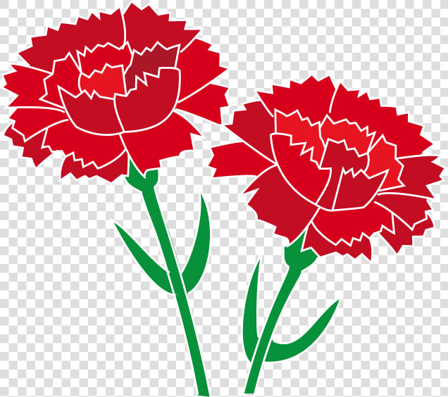 Transparent Carnation Png   Carnation Clipart  Png DownloadTransparent PNG