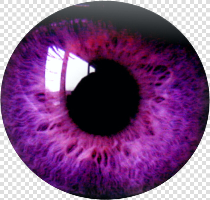 Eye Eyes Purple Burgundy Violet Purpleeyesremixit Ftest   Purple Eye Lens Png  Transparent PngTransparent PNG