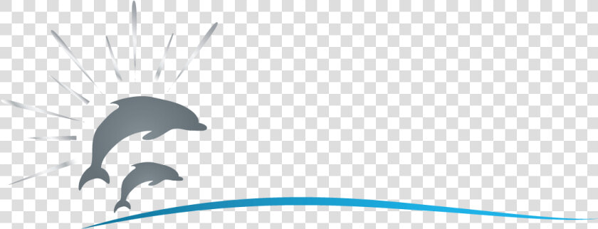 Common Bottlenose Dolphin  HD Png DownloadTransparent PNG