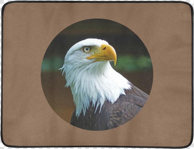 Bald Eagle Head 001 03 Rd Beach Mat 78 X 60   American Bald Eagle Head  HD Png DownloadTransparent PNG