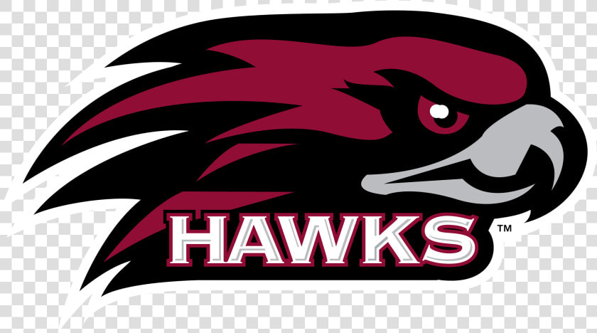 Saint Joseph  39 s Hawks  HD Png DownloadTransparent PNG