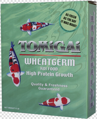 Wheat Germ Oil  HD Png DownloadTransparent PNG