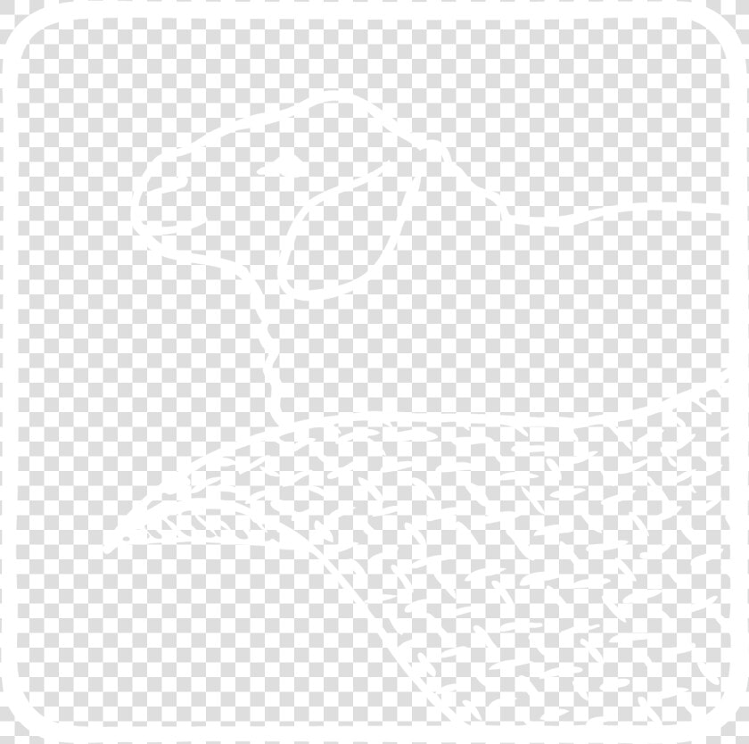 Wolle   Illustration  HD Png DownloadTransparent PNG