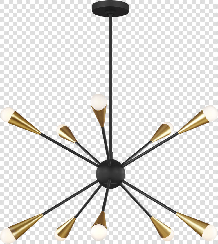 Jax Ellen Degeneres  HD Png DownloadTransparent PNG