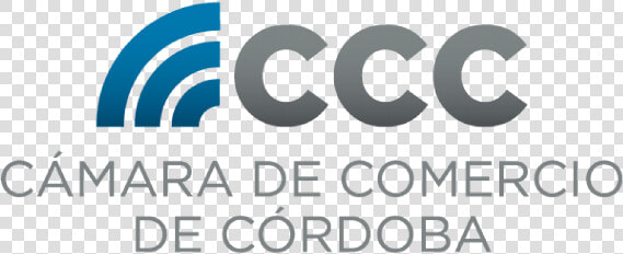 La Cámara De Comercio De Córdoba Fija Posición Institucional   Volleyball Silhouette  HD Png DownloadTransparent PNG