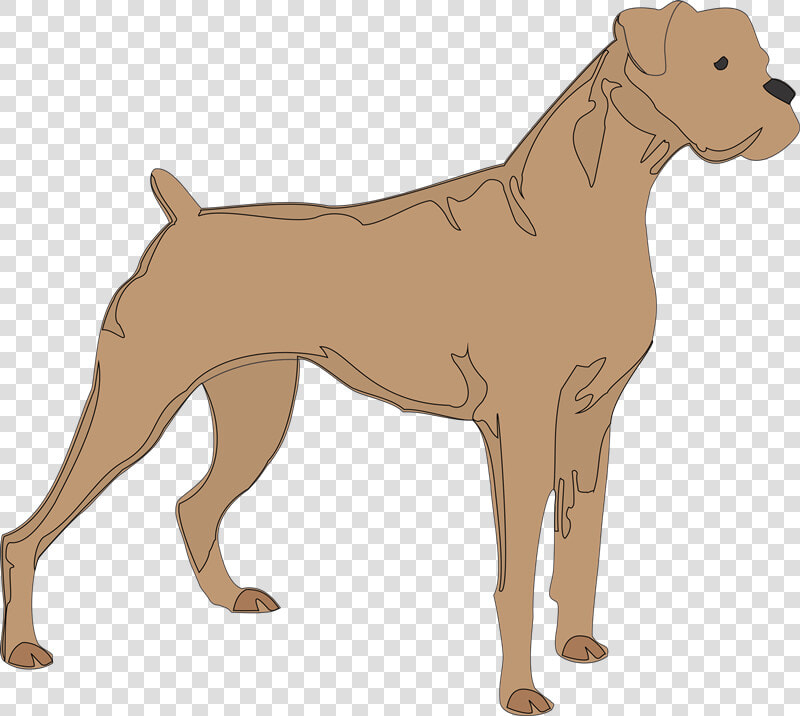 Boxer Jack Russell Terrier Silhouette Pet Clip Art   Boxer Dog Clipart Black And White  HD Png DownloadTransparent PNG