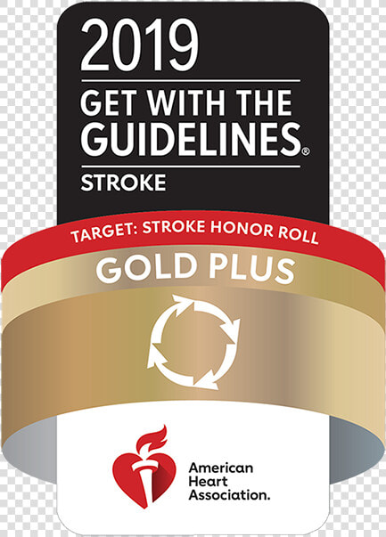 2019 Get With The Guidelines® Stroke   2017 Get With The Guidelines Stroke  HD Png DownloadTransparent PNG