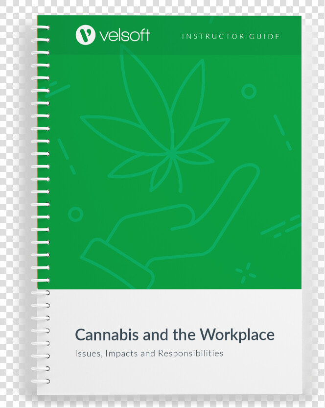 Microsoft Powerpoint   Png Download   Vascular Plant  Transparent PngTransparent PNG