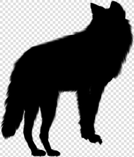 Gray Wolf Png  Transparent Gray Wolf Vector  Png DownloadTransparent PNG