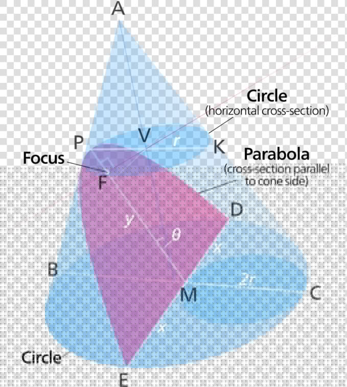 The Image Shows A Cone With A Parabola And A Circle   Parabola Cross Section Cone  HD Png DownloadTransparent PNG