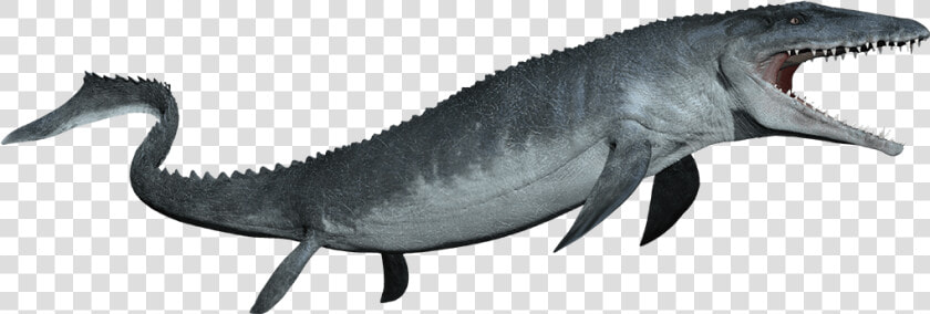 Mosasaurus Detail Header   Mosasaurus Png  Transparent PngTransparent PNG