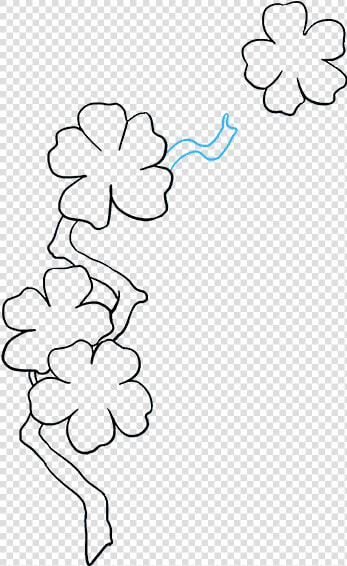 How To Draw Cherry Blossoms   Line Art  HD Png DownloadTransparent PNG