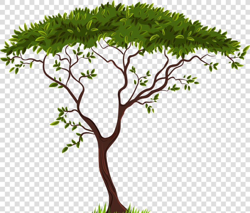 Exotic Tree Png Clip Art   Transparent Background Tree Clip Art  Png DownloadTransparent PNG