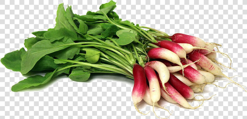 Transparent Radish Png   Portable Network Graphics  Png DownloadTransparent PNG
