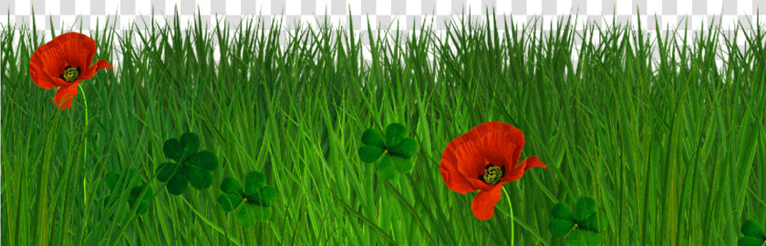Free Transparent Grass Texture Seamless Png   Transparent Grass Border  Png DownloadTransparent PNG