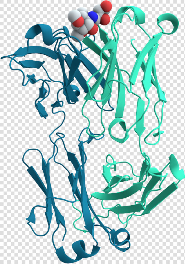 Mouse Cholera Antibody   Transparent Protein Cell  HD Png DownloadTransparent PNG