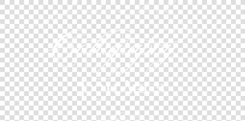 Lindsey Hook Calligraphy And Pen Arts   Plan White  HD Png DownloadTransparent PNG