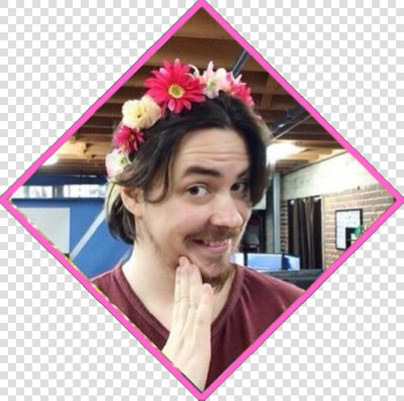 Transparent Arin Hanson Png   Artificial Flower  Png DownloadTransparent PNG