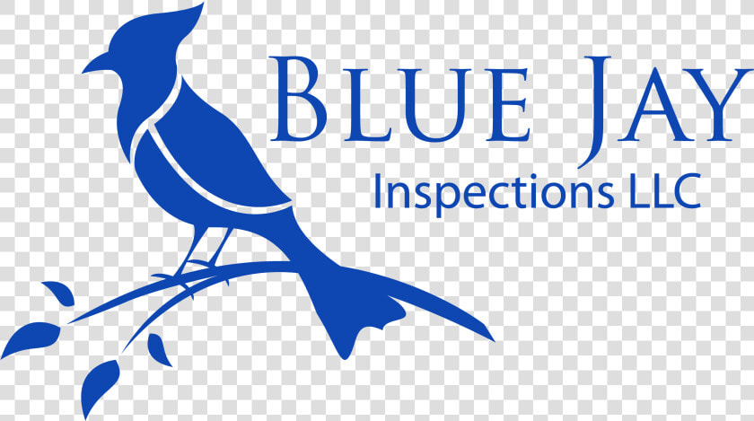 Transparent Blue Jay Png   Blue Jay Bird Logo  Png DownloadTransparent PNG