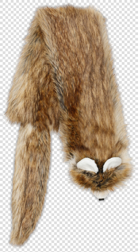 Cat Jumps  HD Png DownloadTransparent PNG