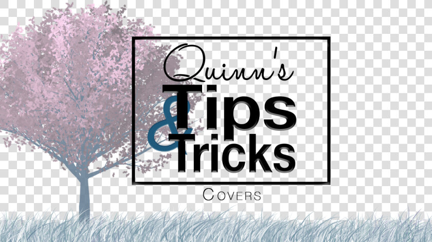 Quinn S Tips  amp  Tricks   Graphic Design  HD Png DownloadTransparent PNG