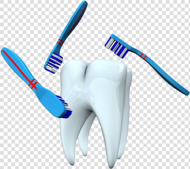 Single Teeth Png Background Image   Toothbrush  Transparent PngTransparent PNG