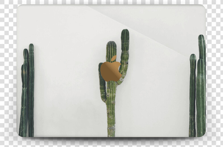 Mexican Cactus Skin Macbook 12”   Apple Macbook Pro  HD Png DownloadTransparent PNG