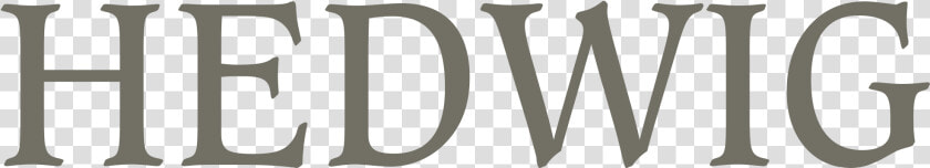 Hedwig Png  Transparent PngTransparent PNG